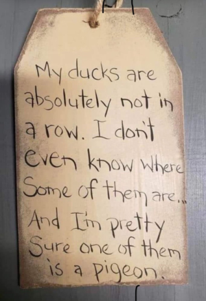 1701235330569.png
