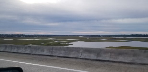 20231128_084131.jpg