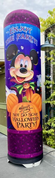 IMG_7541.jpeg