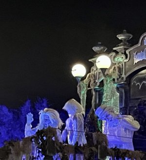 IMG_7628.jpeg