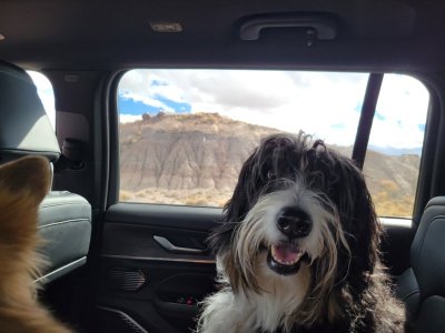 Resized_20231117_114111.jpeg