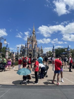 E15B6577-8741-4CDF-BDAD-205C434F5280_1_105_c.jpeg