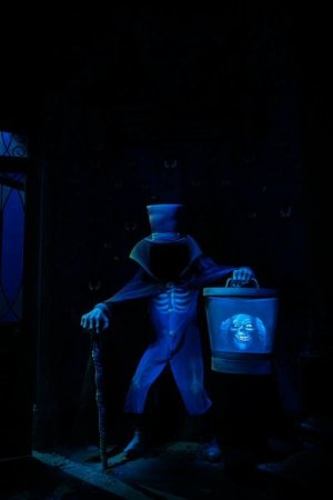 IMG_3172.jpeg