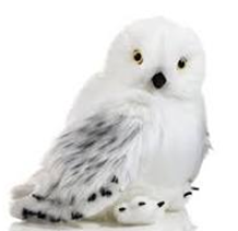 1701390509877.png