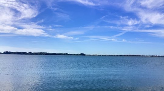 IMG_3104.jpeg IMG_3104.jpeg