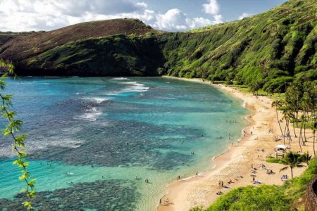 sandy-coastline-and-green-cliffs--hanauma-bay--oahu--hawaii--usa-979755534-3a6b2a50fe4146c3a8e...jpg