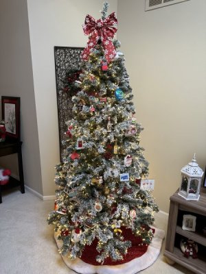 IMG_0463.jpeg
