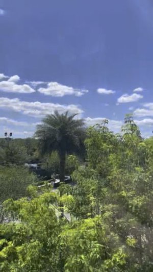 178AEA66-D617-470C-9472-71D1C8C7E770_1_105_c.jpeg
