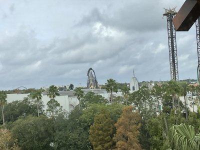 IMG_0017.jpeg