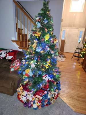 20231202_162543.jpg