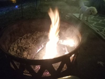 20231202_190029.jpg