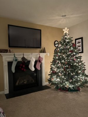 IMG_1435.jpeg