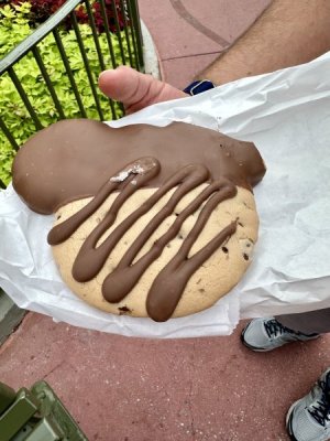 IMG_9033.jpeg