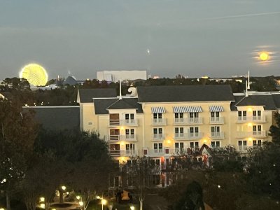 IMG_1314.jpeg