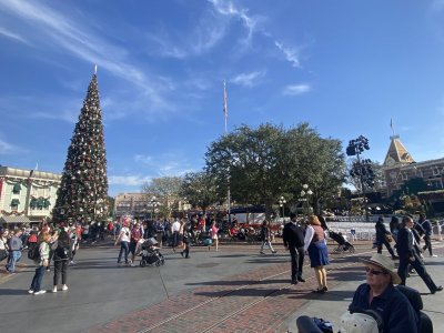 IMG_7422.jpeg