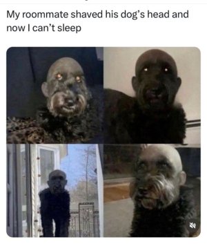 1701735730013.jpeg