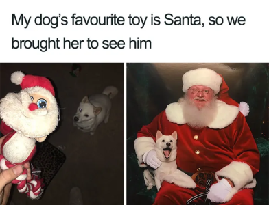 1701839055768.png