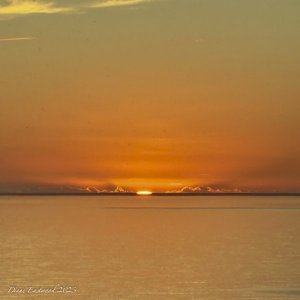 IMG_1064.jpg