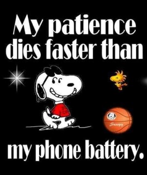 513f1390b267a1589dce96186c29fd0c.jpg