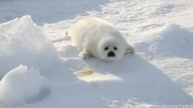 97D55B41-F306-4F5F-9BF1-19E83A2E74BB.gif
