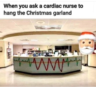 IMG_2741.jpeg