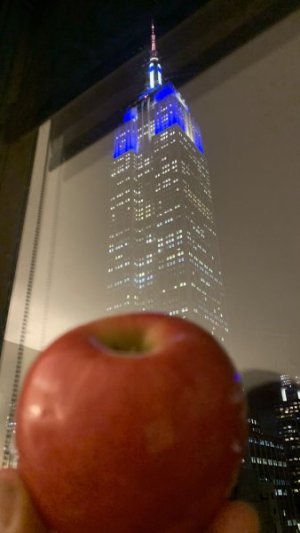 IMG_4192.jpeg