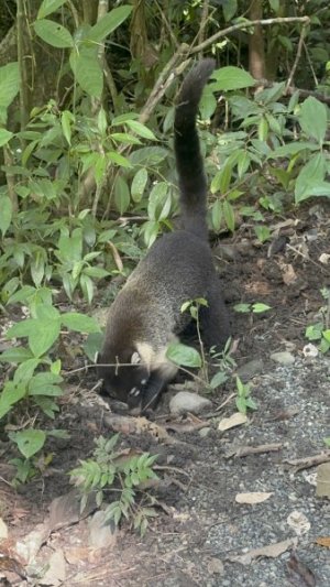 IMG_6355.jpeg