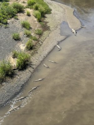 IMG_6197.jpeg