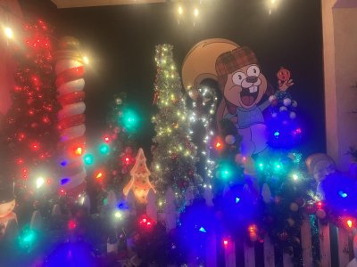 IMG_2625.jpeg