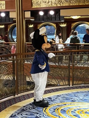 IMG_2508.jpeg