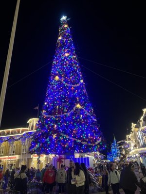 IMG_2737.jpeg