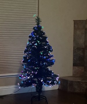 tree.jpg
