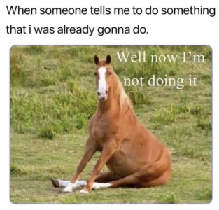 1702520378803.png