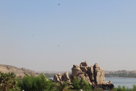 IMG_1724.JPG