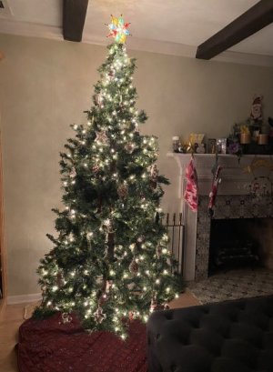 IMG_0404.jpeg