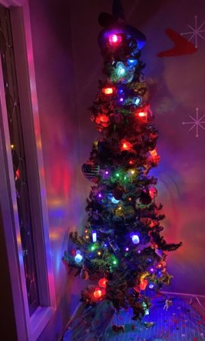 IMG_0405.jpeg