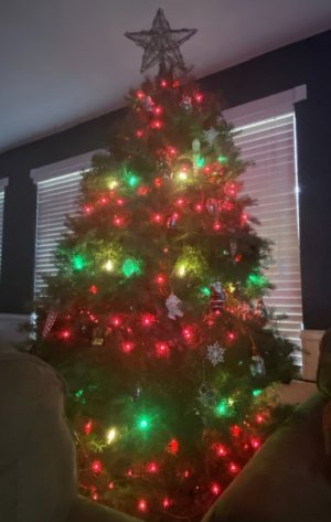 IMG_0371.jpeg