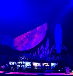 IMG_7684.jpeg