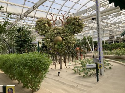 IMG_2780.jpeg