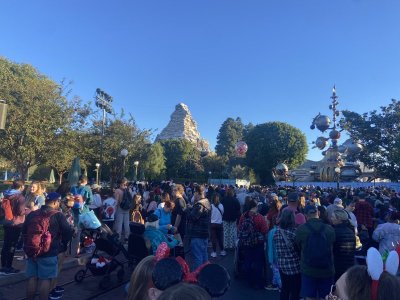 IMG_7455.jpeg IMG_7455.jpeg