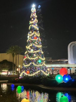IMG_2938.jpeg