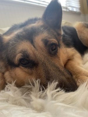1702707642457.jpeg