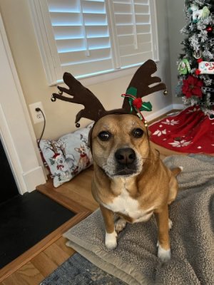 IMG_0630.jpeg