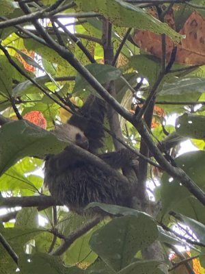IMG_5909.jpeg
