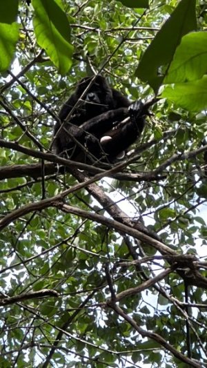 IMG_9210.jpeg