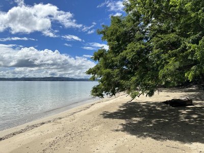 IMG_6025.jpeg