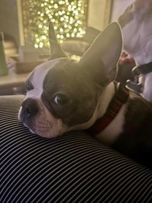 IMG_6632.jpeg