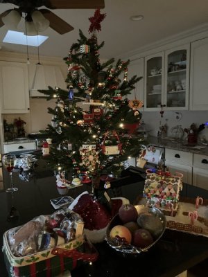 IMG_2500.jpeg