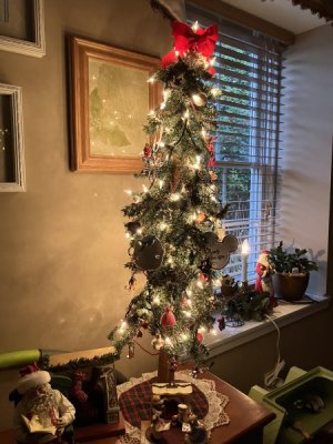 IMG_2494.jpeg