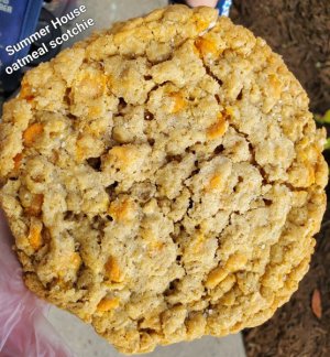 summer house oatmeal scotchie.jpg